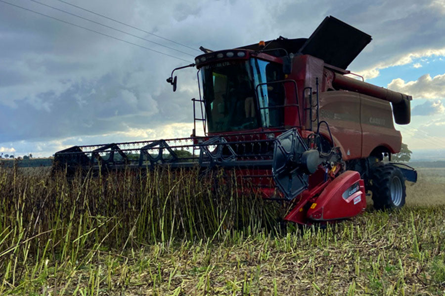 Why are pulses better for the planet?