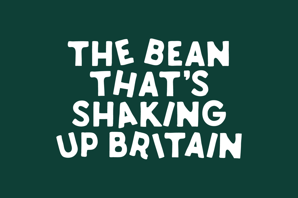 What Are Fava Beans Taste, Benefits & History The Honest Bean Co